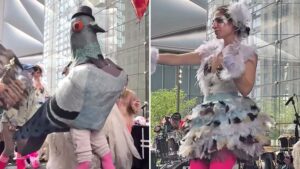 Inside New York’s ‘Pigeon Fest’ where impersonators battle for title