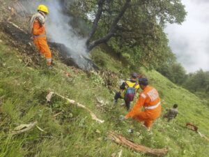Child, 2, among seven people killed in India helicopter crash